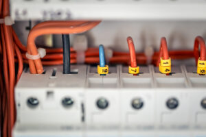 Les bienfaits insoupçonnés des pieuvres électriques dans nos foyers modernes