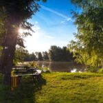 Aménagez un jardin pratique et sûr pour vos volailles
